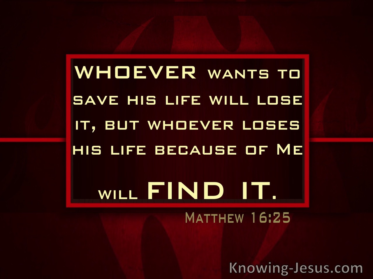 Matthew 16:25 Whoever will lose His life (red)